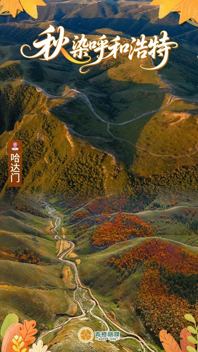 再过几天，呼和浩特就要变成这样了→