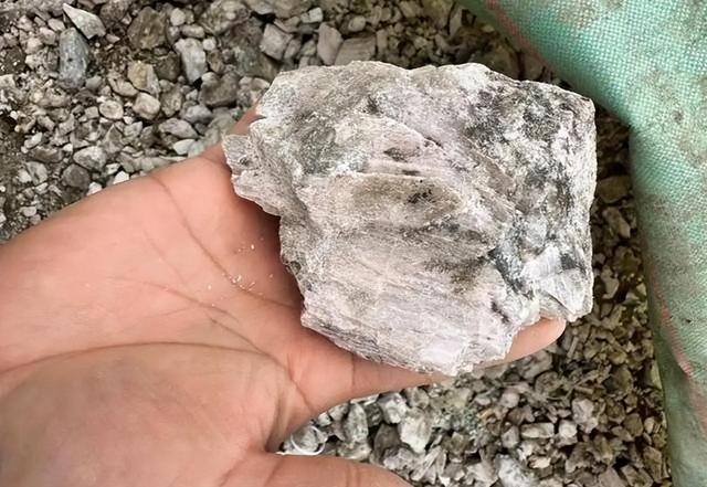 又一个中国伙伴倒向美国	，撕毁合同，骗走20亿！把矛头对准了中国