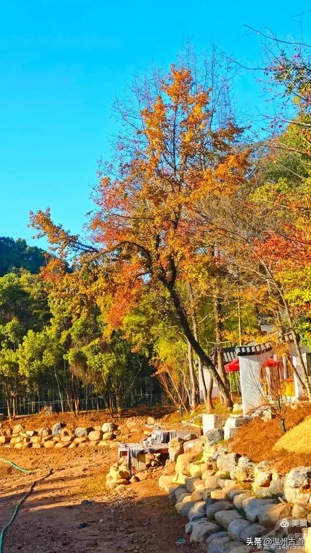秋染浙西，邂逅烂柯仙境的绝美风光！