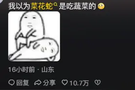 "菜花蛇"凭什么被称为百蛇之王？看完开眼界了，网友反应更离谱图片