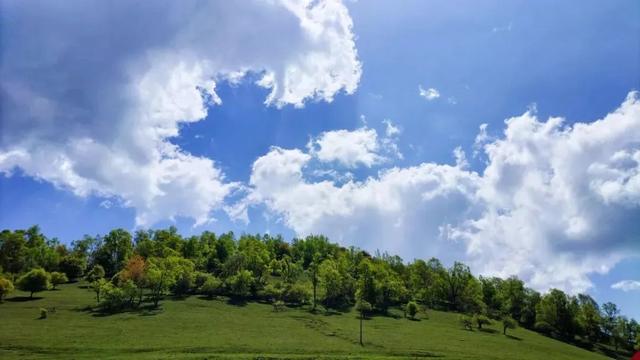 关山草原入园须知丨安全游玩 · 文明赏景 · 快乐同行