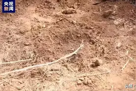 对于邯郸杀人埋尸案，初中家长以后会不会让孩子带刀上学？图片
