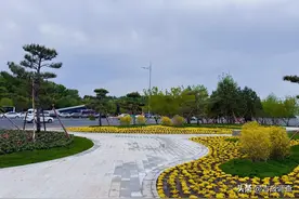 长春地铁“彩化+”模式让你通勤秒变逛公园，城市空间美学背后大有讲究图片