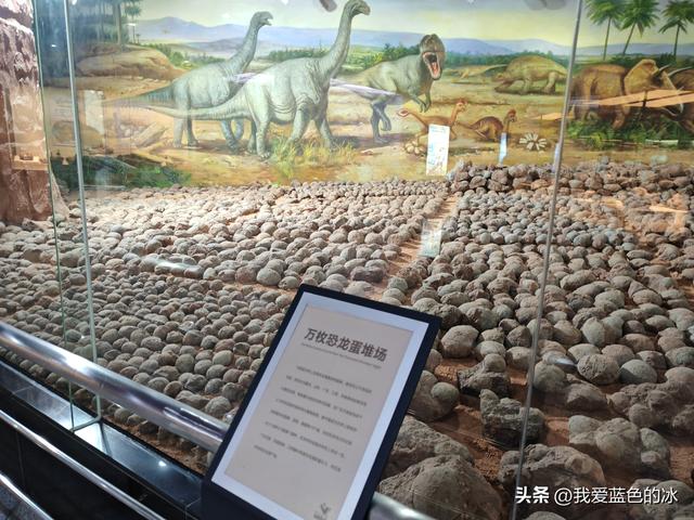 来河源才知道河源是中国恐龙之乡，挖掘出的恐龙蛋超级多