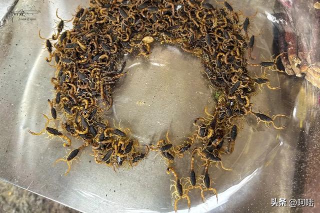 安顺市有个民生市集全年无休,烟火气息浓厚,每天还有人跳民族舞