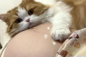 全球三分之一人口正沦为这种小虫的 “傀儡” ，它比病毒还可怕？图片