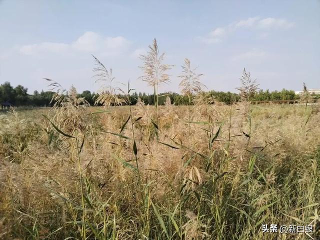 【网络中国节·中秋】国庆假期，一起去感受大自然的魅力!