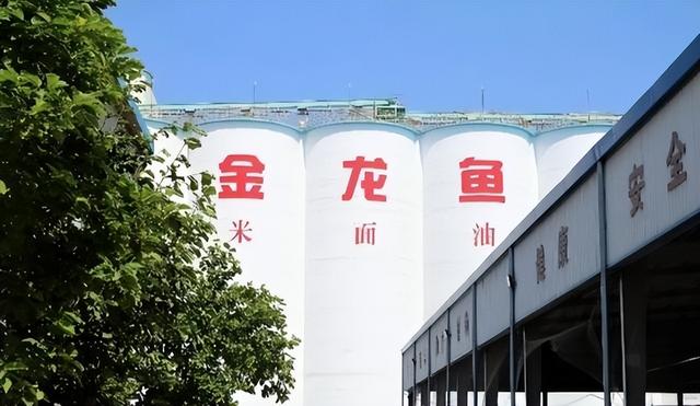 新加坡总理公开支持高市后	，被罚18亿账单的金龙鱼，凉得更快了