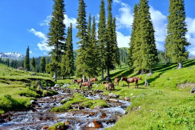 草原花海,塞外江南——超全新疆伊犁旅游攻略