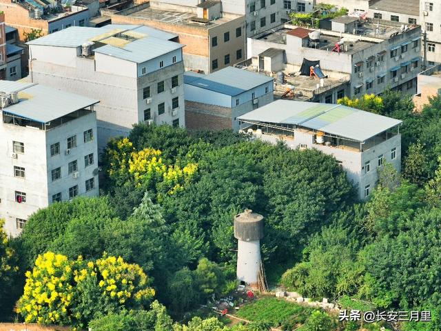 西安城南何家营