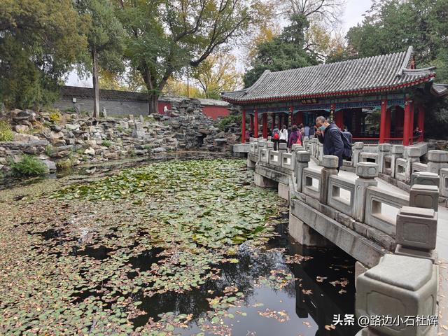 从童年嬉闹到诗意园林——一个北京土著的北海公园记忆