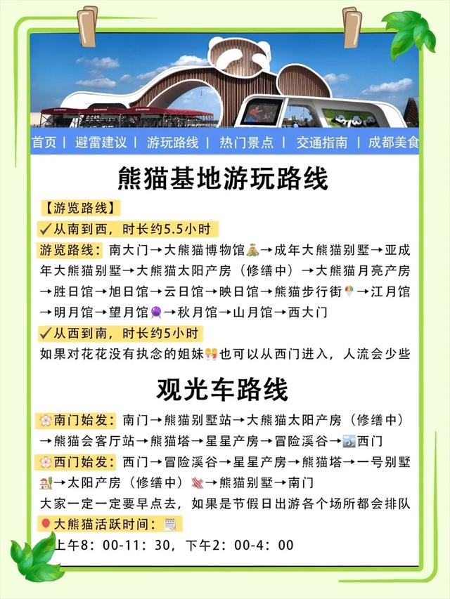 干货成都熊猫基地避坑秘籍一篇说清超全攻略