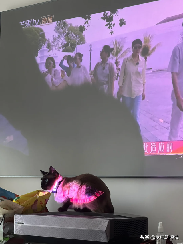 曾被吹上天，如今早已“沦为笑柄”的5款家电，看谁还在乱跟风？