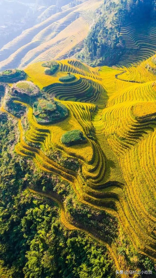 云南红河元阳梯田|小众宝藏打卡地之旅！