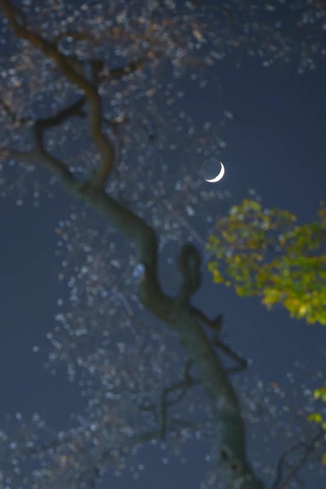 这里是江南诗词最多的城市,它的美有谁懂?