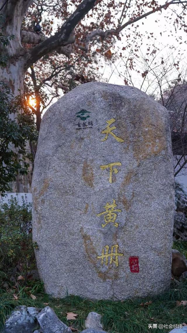 每日一景|冬日玄武湖景色