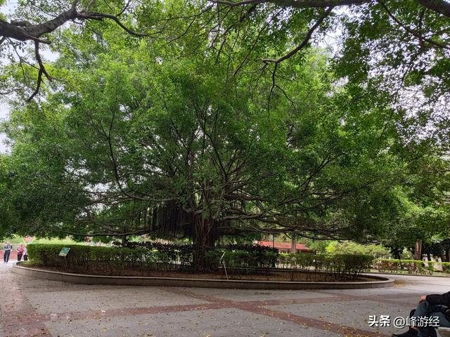 揭阳古城第一站，榕江公园