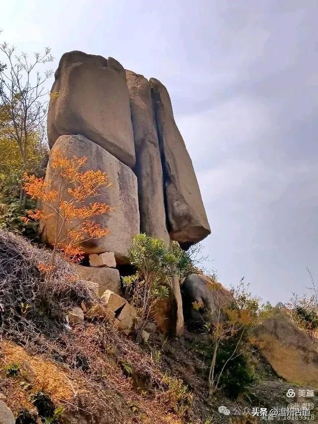 大罗山这条改造过的登山步道你可去过?
