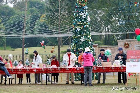 “爪爪心愿·暖冬童话夜”圣诞亮灯温情启幕萌宠与爱共绘冬日美好