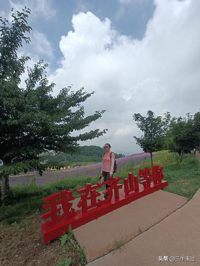 无为在歧路，齐山一块八