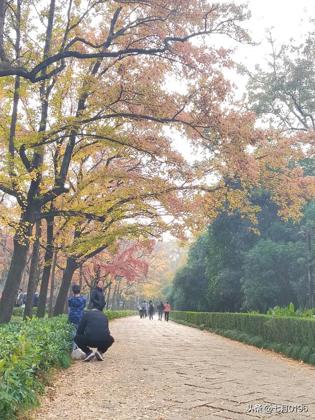最美石象路，我来咯