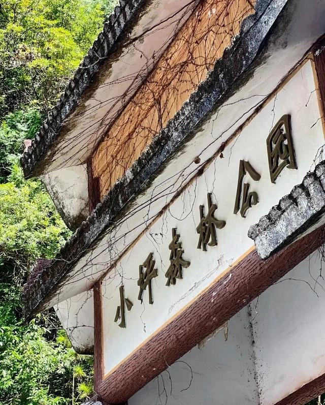 厦门徒步+神庙逃亡太酷辣！被种草的天然氧吧，太惬意啦~