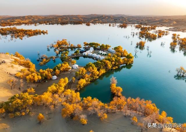 470万亩胡杨林带你秋游大美新疆