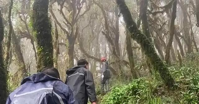 解放军在云南原始森林	，发现一群男女，他们住草棚靠野果捕猎为生