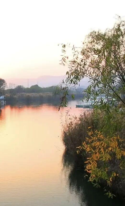 洽川湿地，在自然深呼吸中找回生活本真