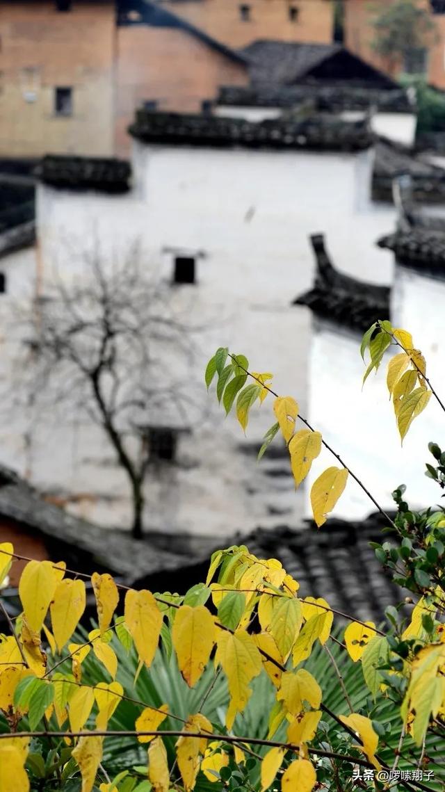 中国唯一被封禁了千年的山脉，任何人不得入内，山水景色不输桂林