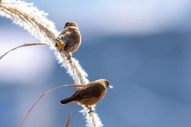 快来抱抱~ | Welcome to 疯狂·武夷山·动物城