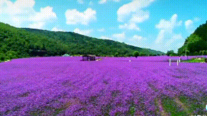 寻迹庆阳←→漫行咸阳 | 甘陕环线游