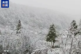 贵州36个县域内出现降雪 多处路段临时管制图片