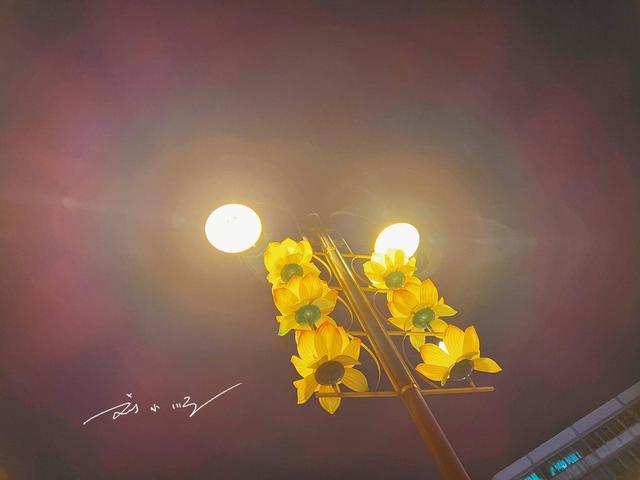 佛山“最偏远”郊区：藏在荷香里的低调小城，连路灯都开满荷花？