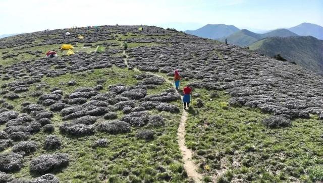 对秦岭违规穿越探险说“不”，是我们守护秦岭的共同责任