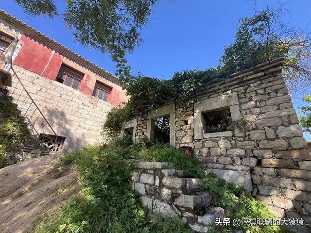 我，终于登上了岳阳山之巅！（博山登山记）