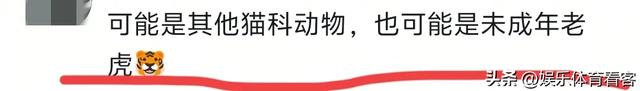 湖北恩施一村民干农活时被老虎抓伤：持锄头敲了它几下 摇摇头走了