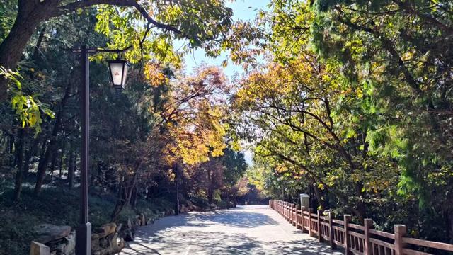 趁秋日暖阳，来八大处感受与自然共处的温柔→