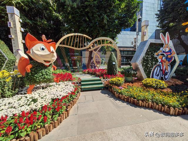 广州66届羊城菊花展，快来看打卡攻略
