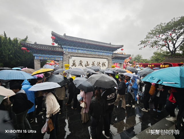 郑国霖雨中游万岁山，明星效应助推2025开封菊花花会文旅热度