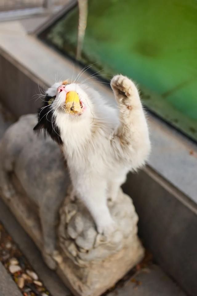 出发~