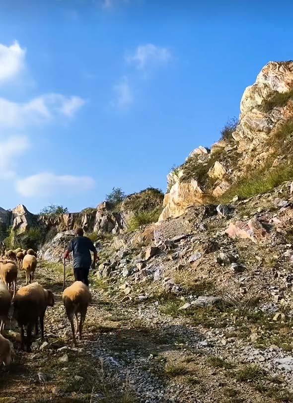 王贵：蒲山丰山白河畔，藏着“西北治愈感+罕见奇景”的网红秘境