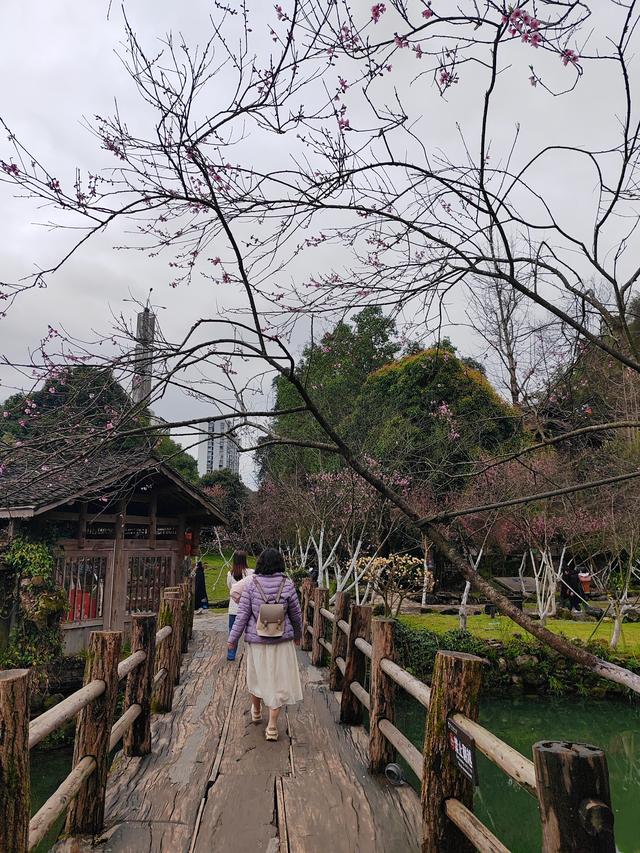 重庆酉阳桃花源，必须点赞！