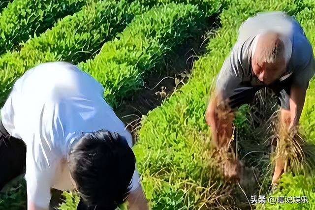 天崩开局，679分寒门贵子考上国防科技大学，恶心的一幕却出现了