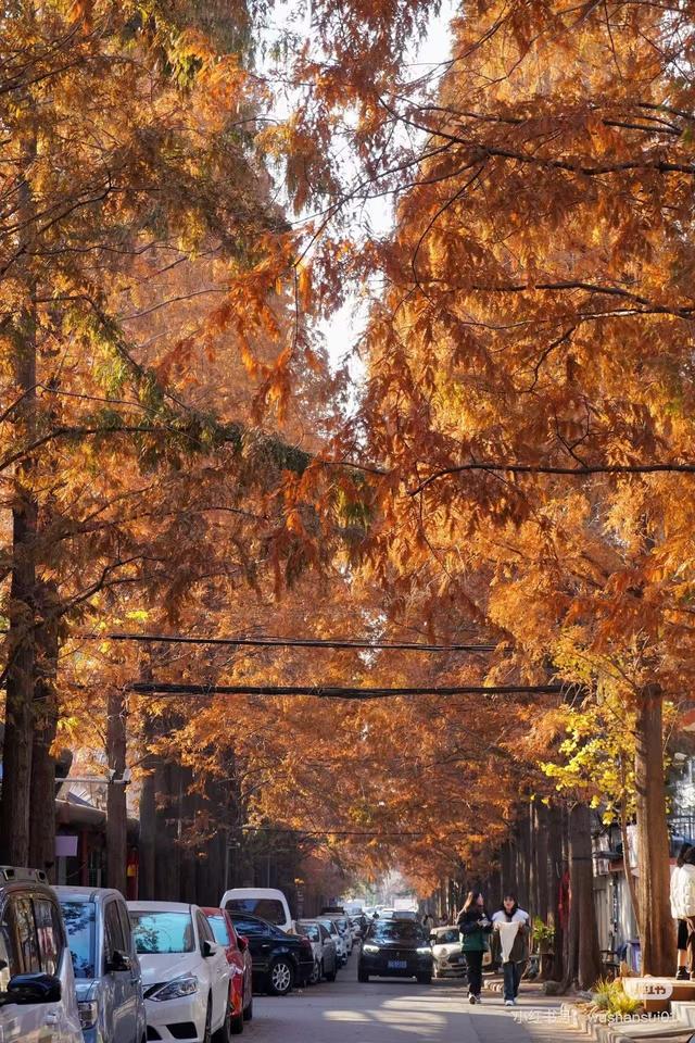 原来真的有城市，可以一天24小时都快乐~（2）