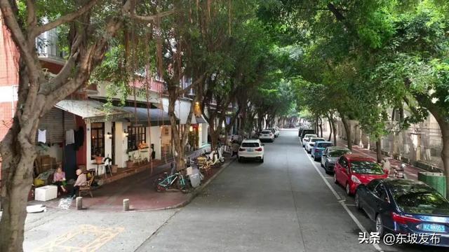 你好 东坡！| 东郊街：烟火与诗意交织的青春栖息地