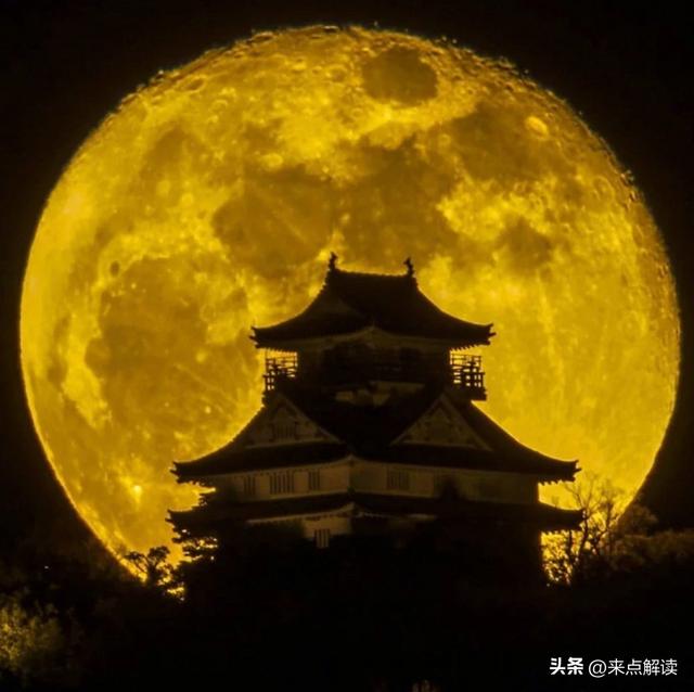 织田信长故地新动作！32.9万日元享3小时夜景，仅20人可参与