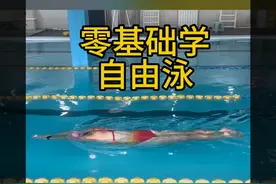 我新拍的第六套零基础自由泳学习教程图片