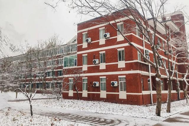 赴一场校园雪约，猜猜哪栋是你的 “温暖小窝”