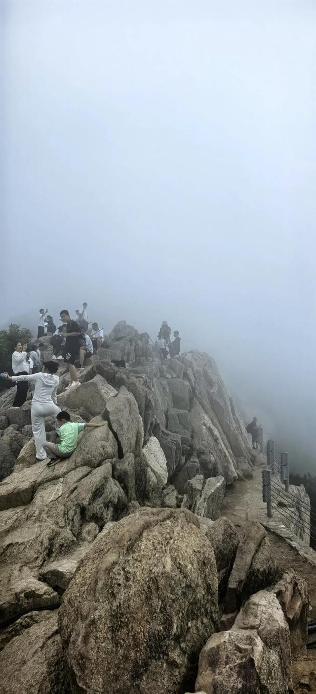 岱宗夫如何：看山不只是山
